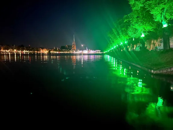Grün angestrahlte Bäume am Pfaffenteich in Schwerin.