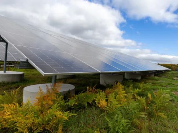 PV-Module im Industriepark Schwerin