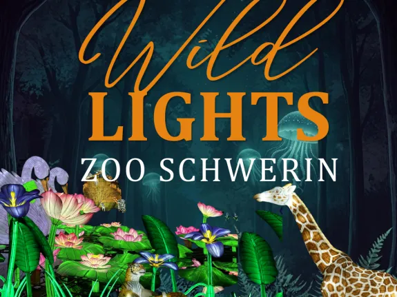 Textbotschaft Wildlight Zoo Schwerin vor schwarzem Hintergrund, unten Beispiele der leuchtenden Figuren wie Giraffen und Blumen.