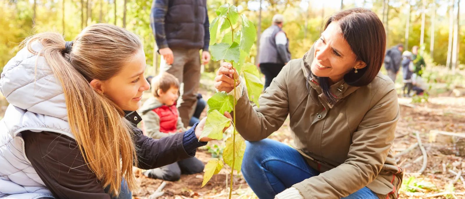 Zwei Frauen pflanzen im Wald einen Baum.
