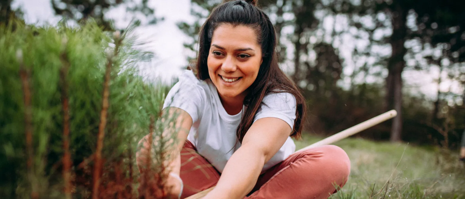 Frau pflanzt einen Nadelbaum