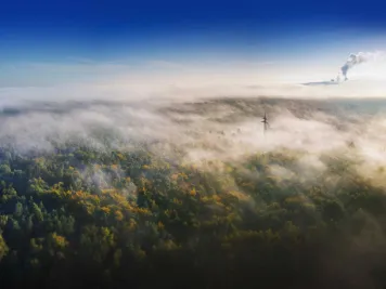 Ein Nebel legt sich über eine Waldlandschaft.