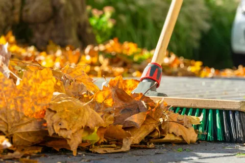 Herbstlaub wird auf dem Boden zusammengefegt.