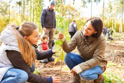 Zwei Frauen pflanzen im Wald einen Baum.