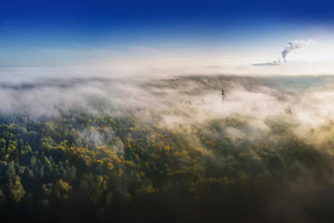 Nebel über Landschaft