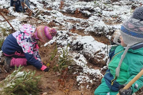 Kinder und Eltern pflanzen Bäume im Wald.