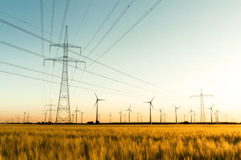 Strommasten und Windräder stehen auf einem Feld.