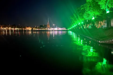 Grün angestrahlte Bäume am Pfaffenteich in Schwerin.