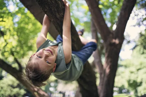Ein Kind klettert auf einen Baum.