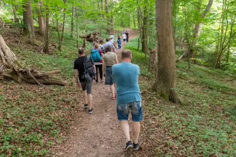 Gruppe von Leuten wandert durch den Wald auf Kaninchenwerder.