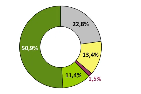 Ringdiagramm für den Energieträgermix des Stroms in Deutschland
