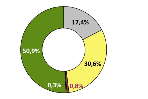 Ringdiagramm des Energieträgermixes für den SWS Standard-Strom (Rest-Mix)