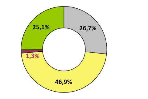 Ringdiagramm des Energieträgermixes der Stadtwerke Schwerin insgesamt
