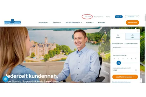 Kopfbereich der Internetseite mit ror markierter Suchfunktion