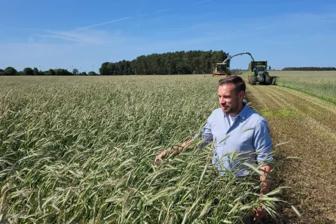 Mann steht an der Erntekante eines Roggenfeldes.