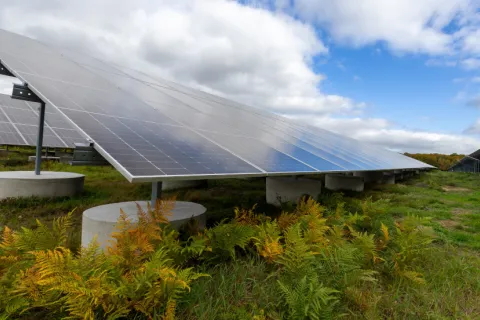 PV-Module im Industriepark Schwerin