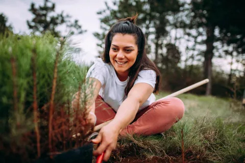 Frau pflanzt einen Nadelbaum