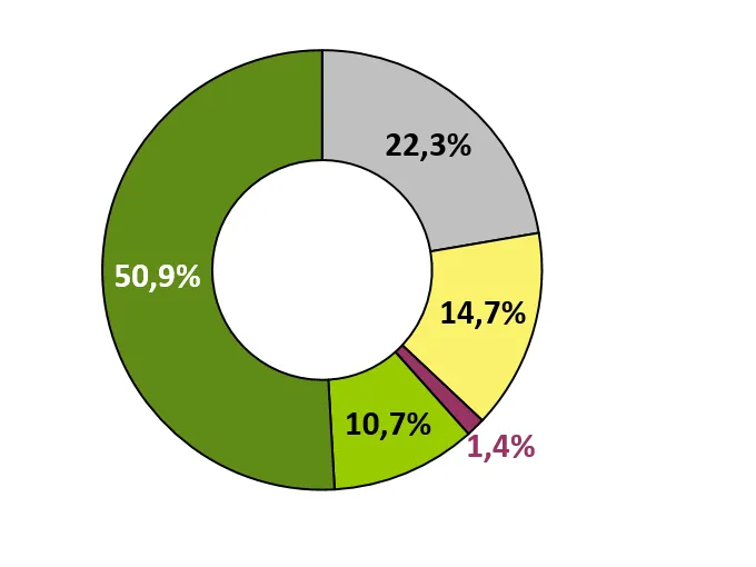 Ringdiagramm für den Energieträgermix des Stroms in Deutschland