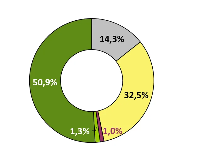 Ringdiagramm des Energieträgermixes für den SWS Standard-Strom (Rest-Mix)