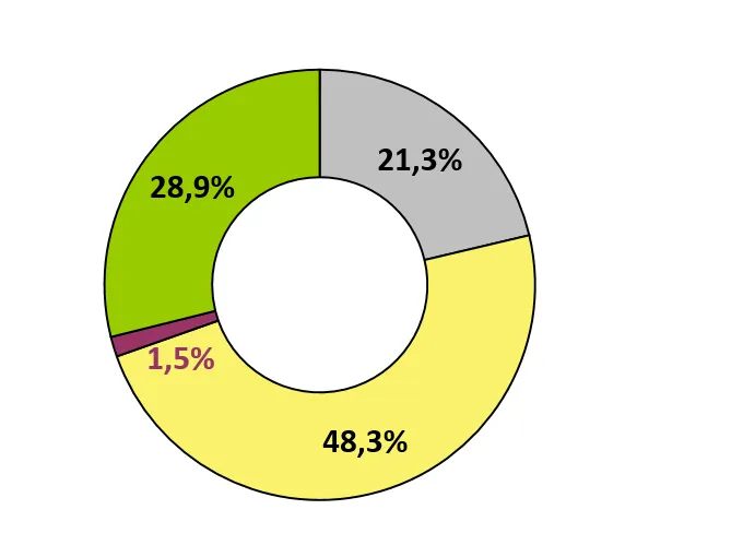Ringdiagramm des Energieträgermixes der Stadtwerke Schwerin insgesamt