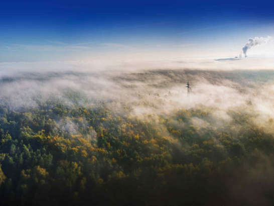 Ein Nebel legt sich über eine Waldlandschaft.