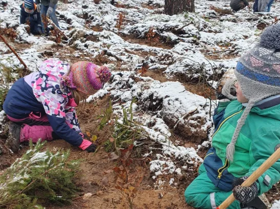 Kinder und Eltern pflanzen Bäume im Wald.