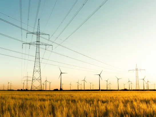 Strommasten und Windräder stehen auf einem Feld.