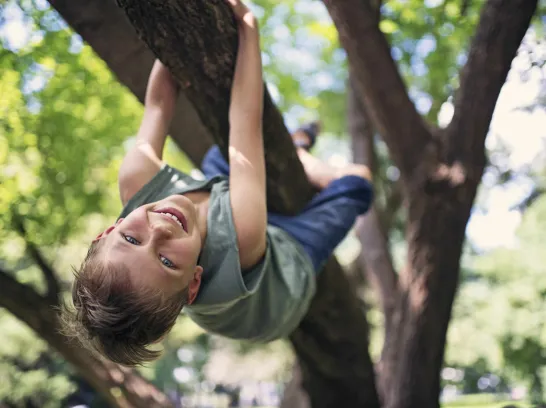 Ein Kind klettert auf einen Baum.