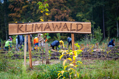 Im Vordergrund Schild mit der Aufschrift Klimawald. Im Hintergrund Menschen die Bäume pflanzen., Copyright: SWS